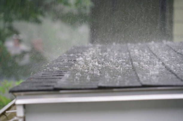 Best Roof Insulation Installation  in West Portsmouth, OH