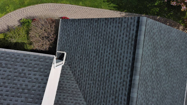 Best Roof Maintenance and Cleaning  in West Portsmouth, OH